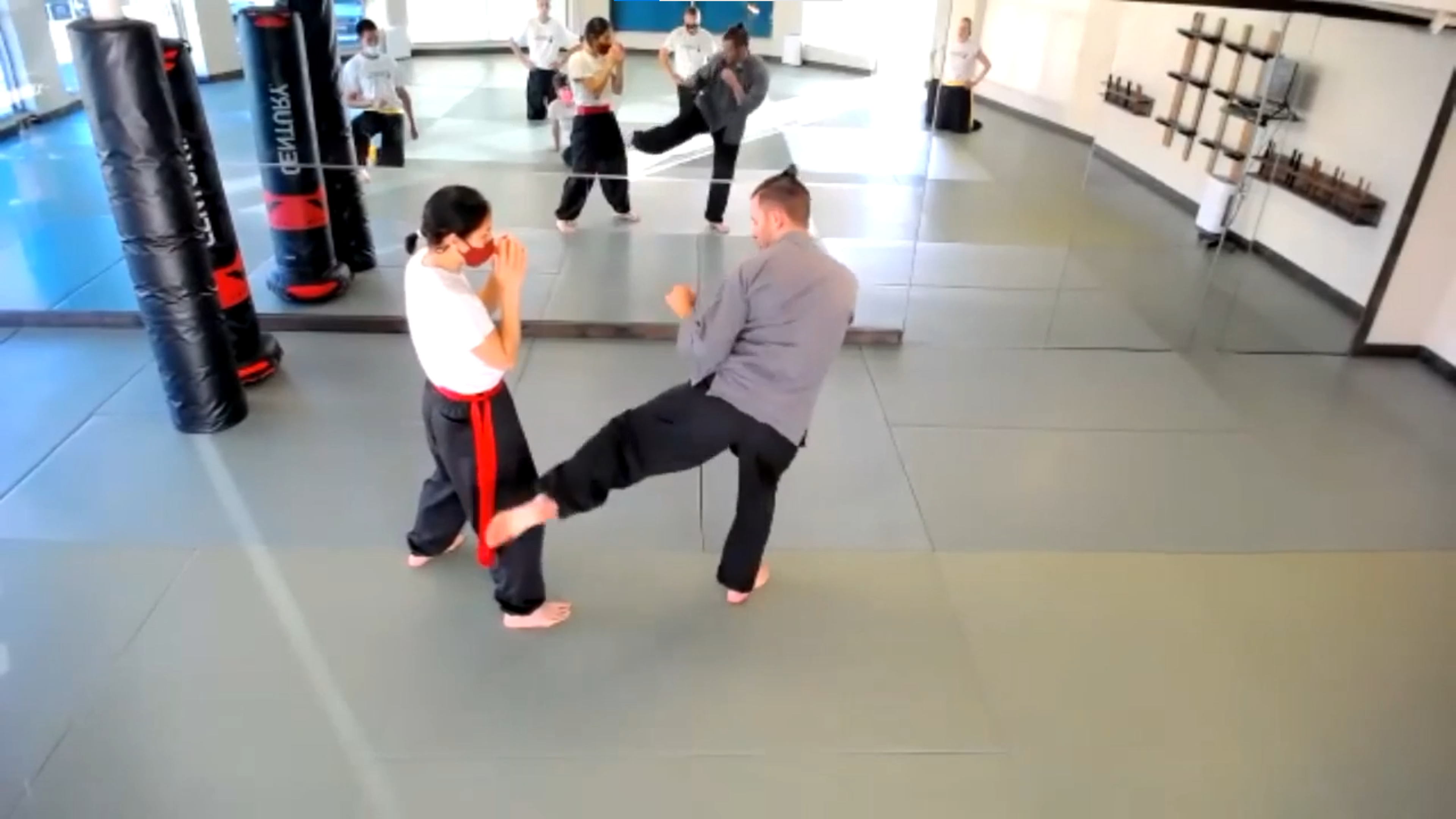 Roundhouse kicks