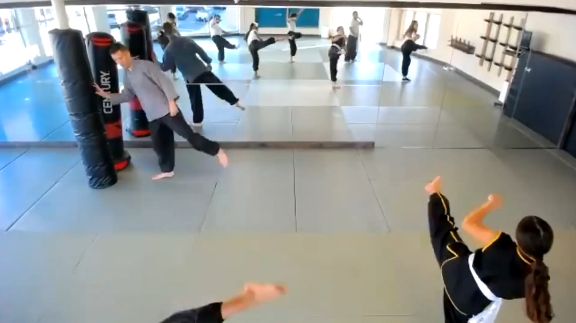 Roundhouse Kicks