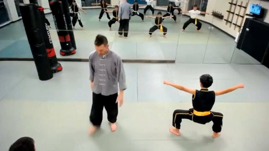 Controlling the Heart Rate